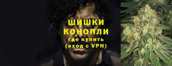 бошки Осинники