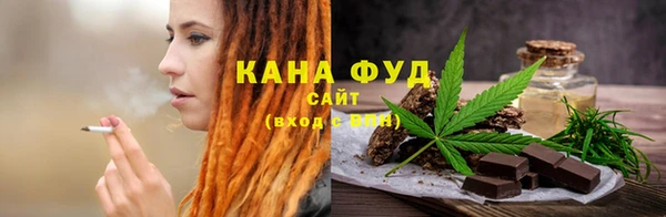 индика Ельня