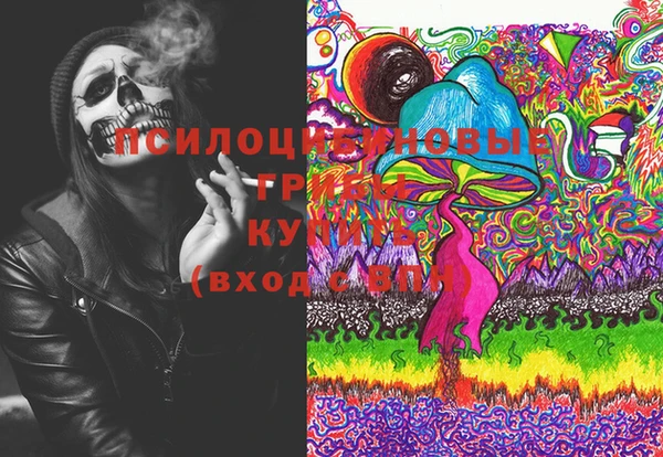бошки Осинники